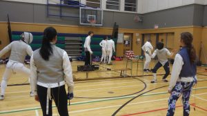 fencing